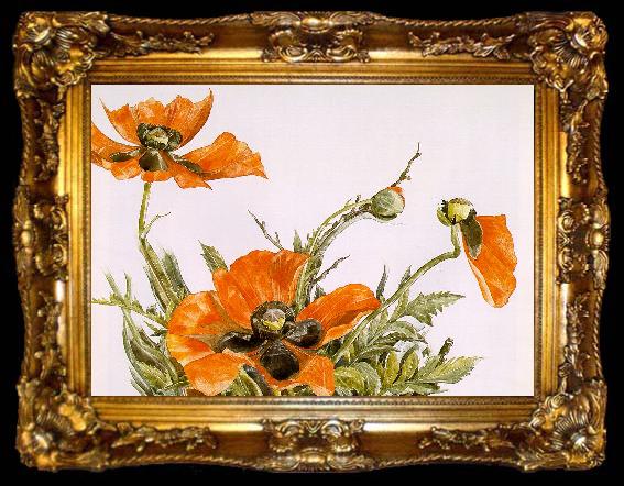 framed  Demuth, Charles Poppies, ta009-2